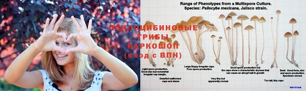 марки nbome Магадан