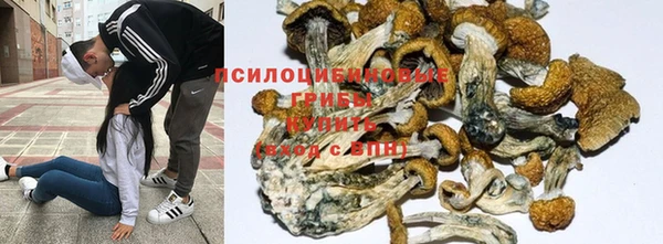 марки nbome Магадан