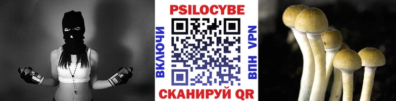 Купить  Моршанск  Псилоцибиновые грибы прущие грибы 